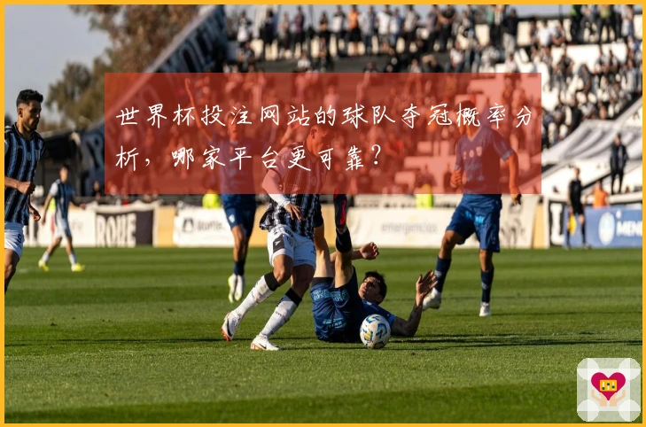 世界杯投注网站的球队夺冠概率分析，哪家平台更可靠？