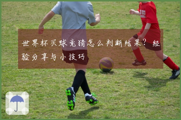 世界杯买球竞猜怎么判断结果?经验分享与小技巧