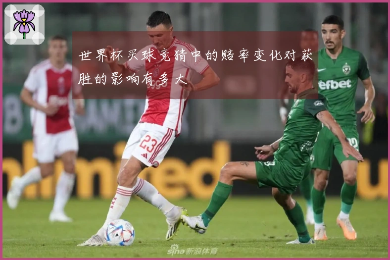 世界杯买球竞猜中的赔率变化对获胜的影响有多大