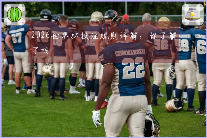 2026世界杯投注规则详解，你了解了吗