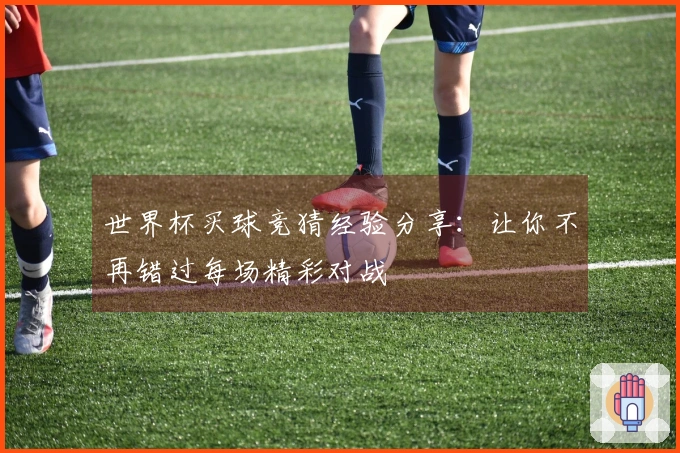 世界杯买球竞猜经验分享：让你不再错过每场精彩对战