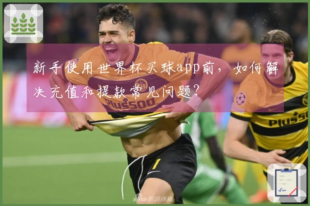 新手使用世界杯买球app前，如何解决充值和提款常见问题？