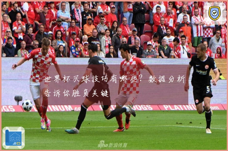 世界杯买球技巧有哪些？数据分析告诉你胜负关键
