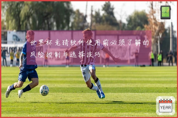 世界杯竞猜软件使用前必须了解的风险控制与选择技巧