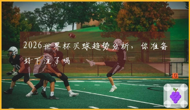 2026世界杯买球趋势分析，你准备好下注了吗