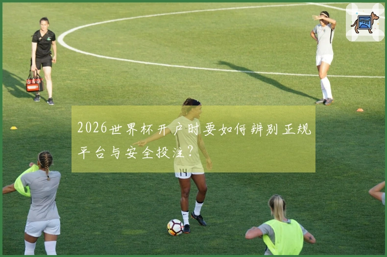 2026世界杯开户时要如何辨别正规平台与安全投注？