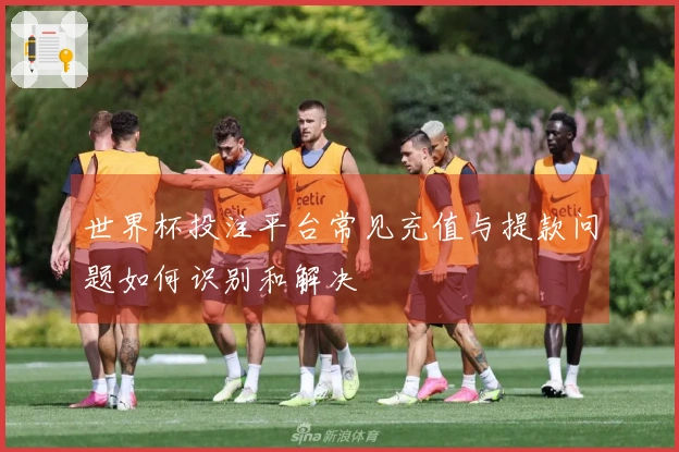 世界杯投注平台常见充值与提款问题如何识别和解决