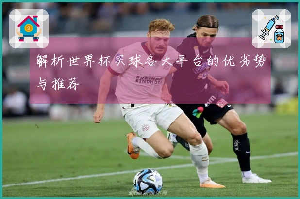 解析世界杯买球各大平台的优劣势与推荐