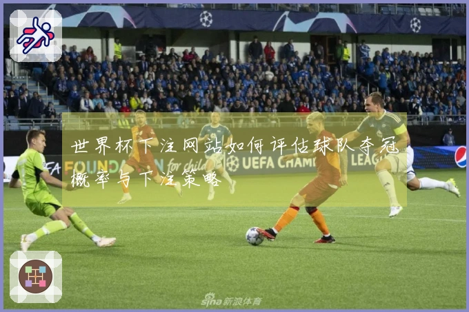 世界杯下注网站如何评估球队夺冠概率与下注策略