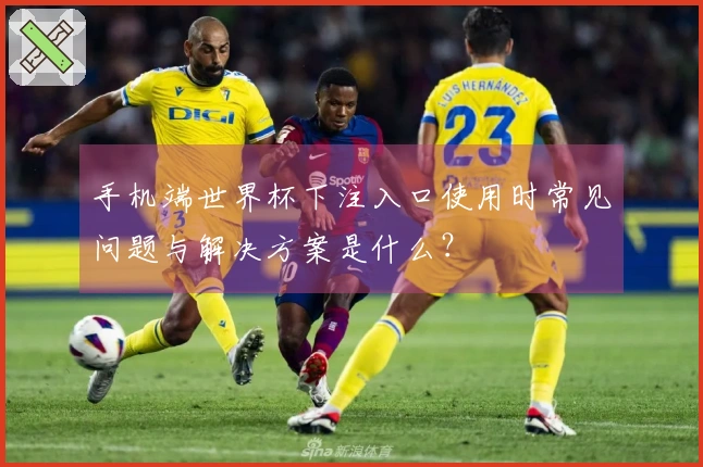 手机端世界杯下注入口使用时常见问题与解决方案是什么？