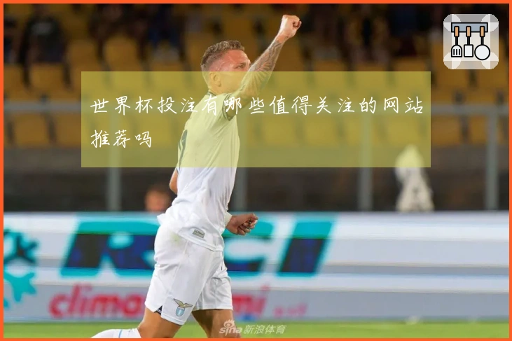 世界杯投注有哪些值得关注的网站推荐吗