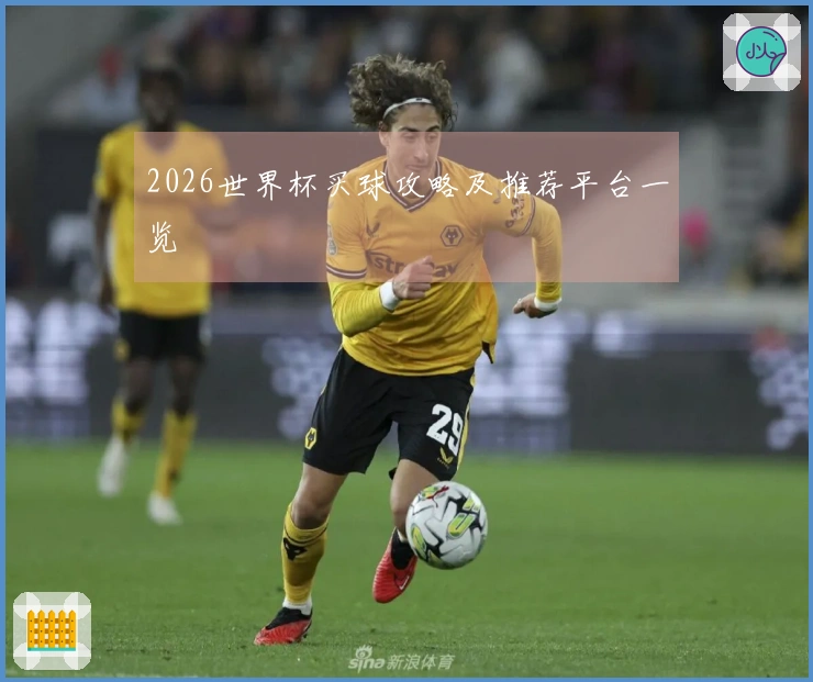 2026世界杯买球攻略及推荐平台一览