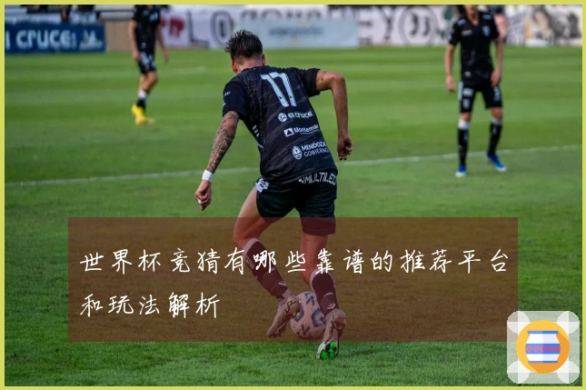 世界杯竞猜有哪些靠谱的推荐平台和玩法解析