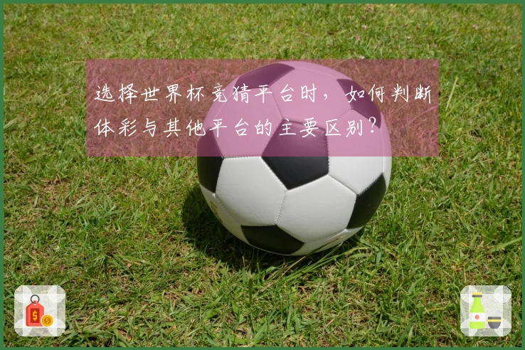 选择世界杯竞猜平台时，如何判断体彩与其他平台的主要区别？
