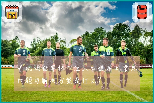 手机端世界杯下注入口使用时常见问题与解决方案是什么？