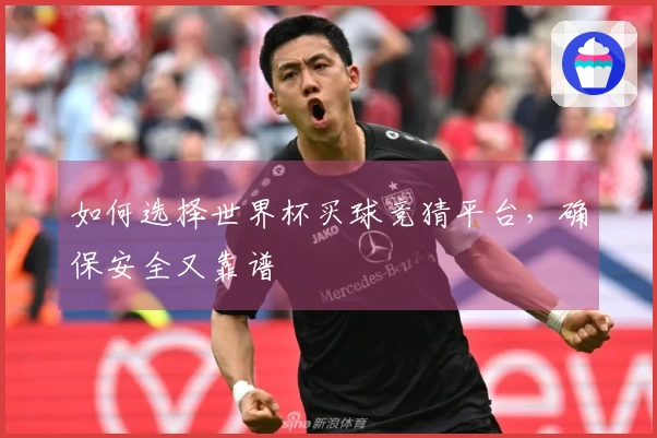 如何选择世界杯买球竞猜平台，确保安全又靠谱