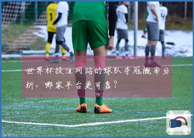 世界杯投注网站的球队夺冠概率分析，哪家平台更可靠？