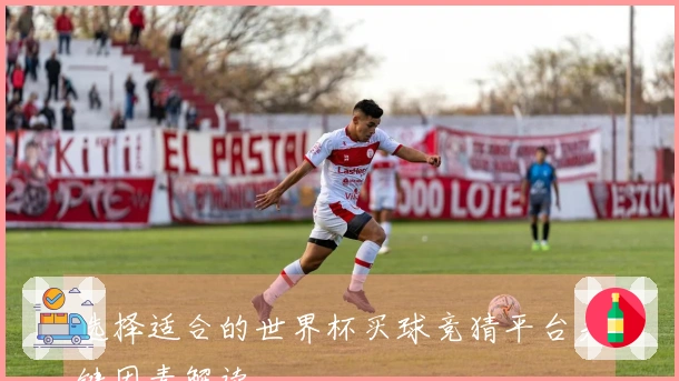 选择适合的世界杯买球竞猜平台关键因素解读