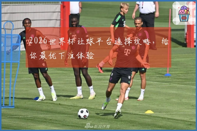 2026世界杯让球平台选择攻略，给你最优下注体验