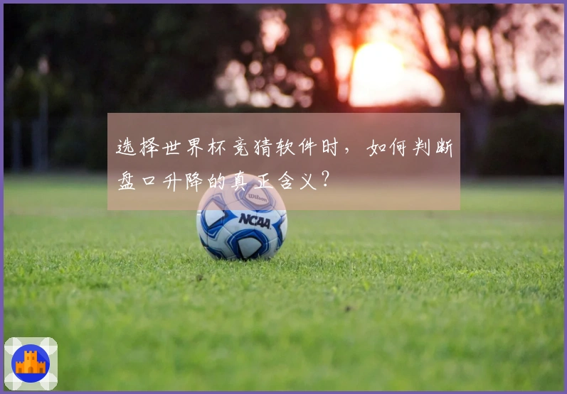选择世界杯竞猜软件时，如何判断盘口升降的真正含义？