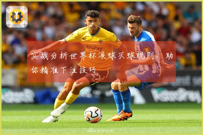 实战分析世界杯滚球买球规则，助你精准下注技巧
