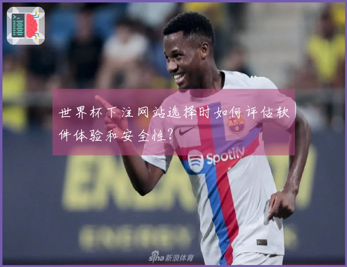 世界杯下注网站选择时如何评估软件体验和安全性？