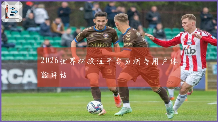 2026世界杯投注平台分析与用户体验评估