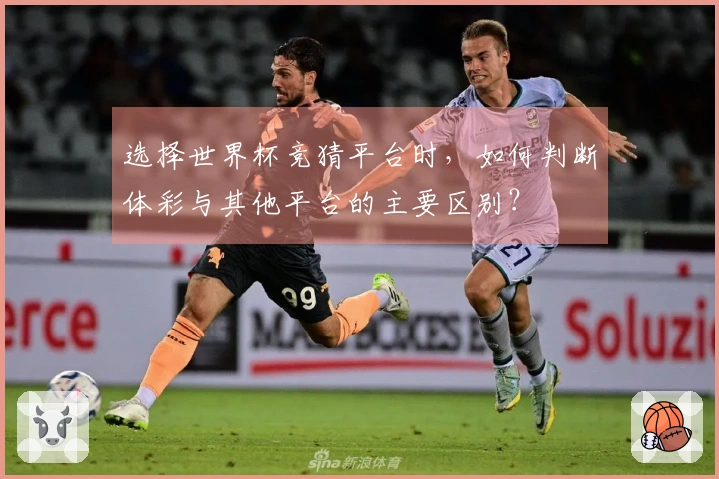 选择世界杯竞猜平台时，如何判断体彩与其他平台的主要区别？