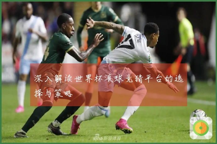 深入解读世界杯滚球竞猜平台的选择与策略