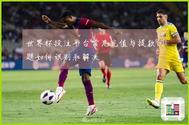 世界杯投注平台常见充值与提款问题如何识别和解决