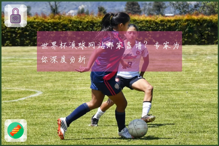 世界杯滚球网站哪家靠谱？专家为你深度分析