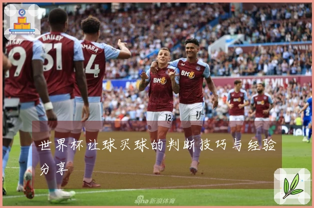 世界杯让球买球的判断技巧与经验分享