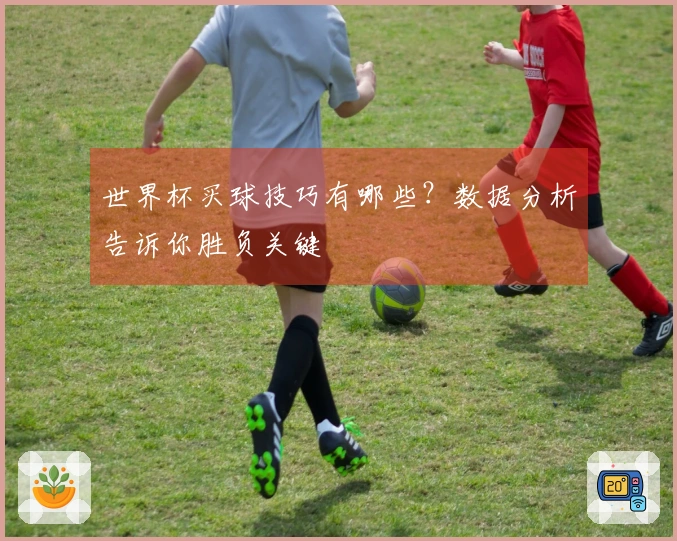 世界杯买球技巧有哪些？数据分析告诉你胜负关键