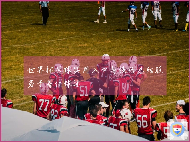 世界杯买球实用入口与技巧总结服务于每位球迷