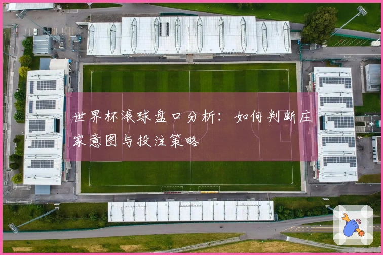 世界杯滚球盘口分析：如何判断庄家意图与投注策略