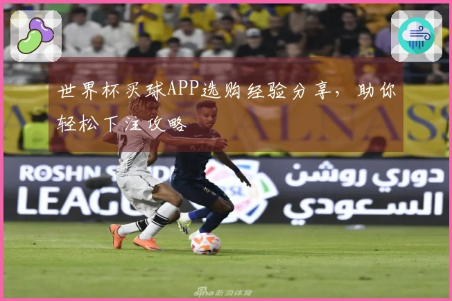 世界杯买球APP选购经验分享，助你轻松下注攻略