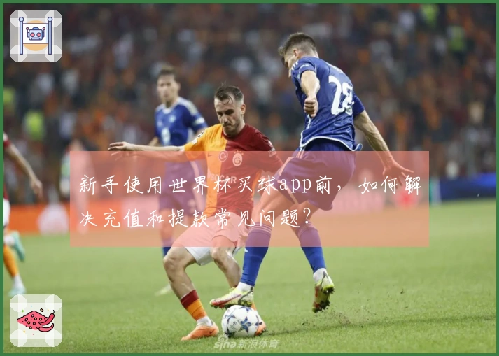 新手使用世界杯买球app前，如何解决充值和提款常见问题？