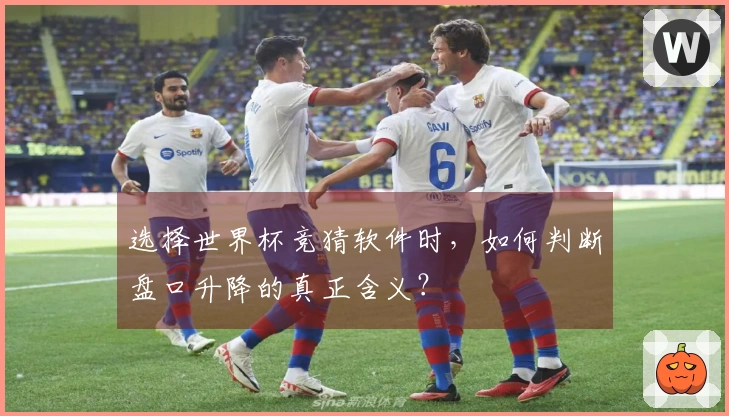 选择世界杯竞猜软件时，如何判断盘口升降的真正含义？